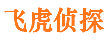 爱民侦探公司